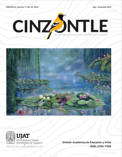 Ver Vol. 17 Núm. 35 (2025)